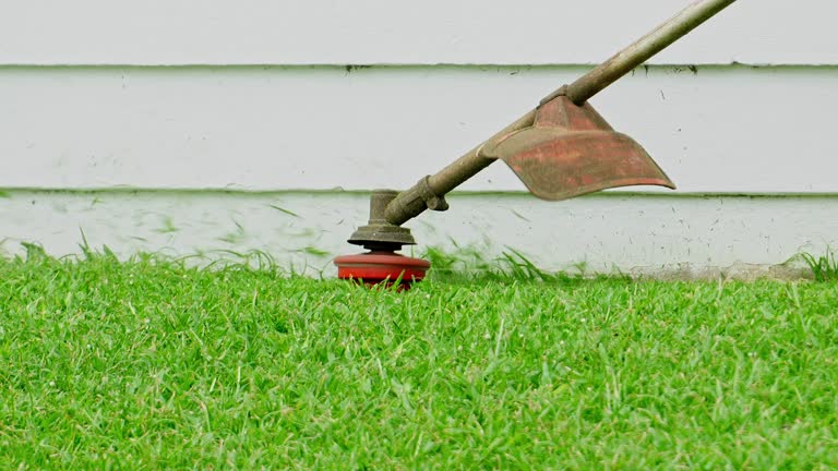 Best Tree and Shrub Care  in Bowling Green, VA